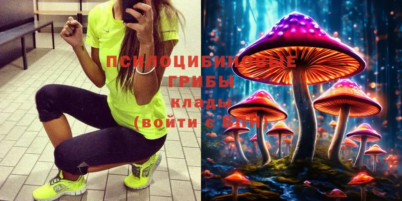 Галлюциногенные грибы Magic Shrooms  блэк спрут ссылка  Севастополь 